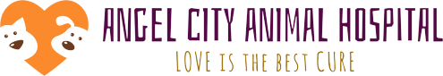 Angel City Animal Hospital Logo