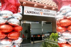 Angel city Animal Hospital Entrance
