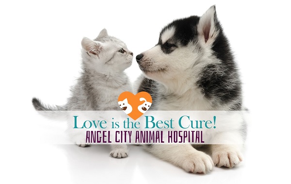 Love is the Best Cure - Mobile